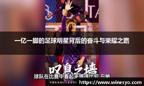 一亿一脚的足球明星背后的奋斗与荣耀之路